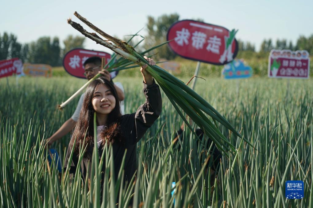 巴黎人线上十大